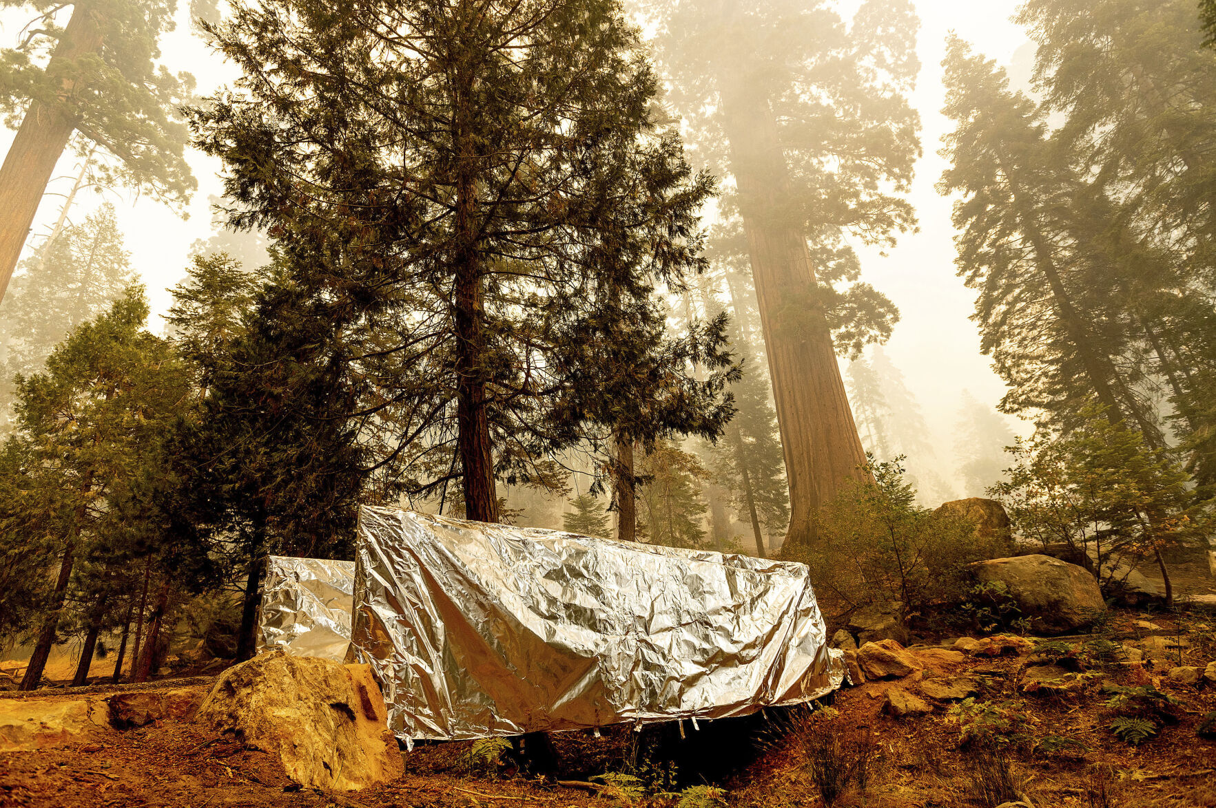 Western Wildfires